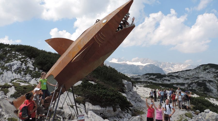 Dachstein Shark CREDIT copy