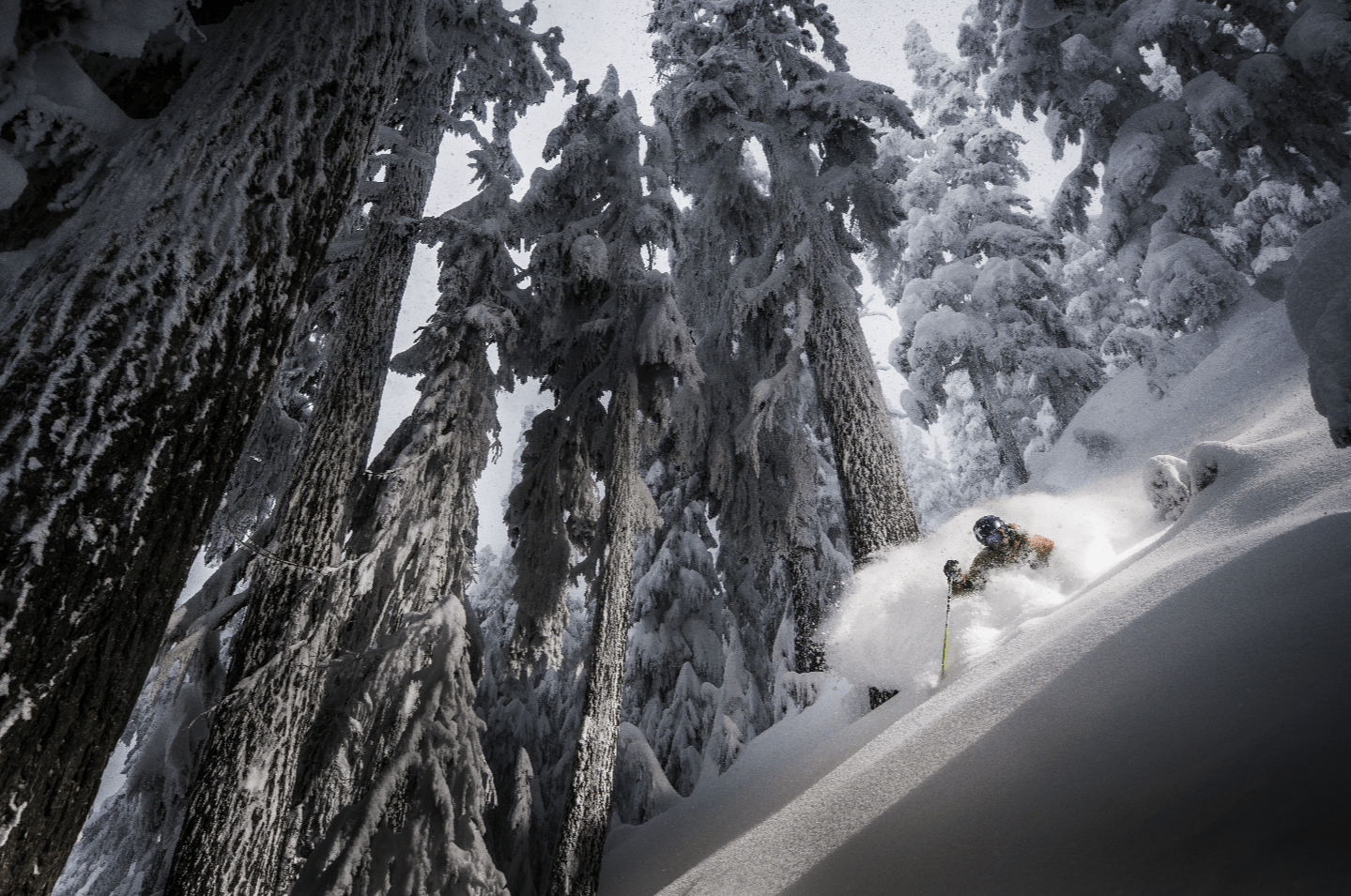 Whistler Blackcomb Turns 50 – But Keeps Innovating !