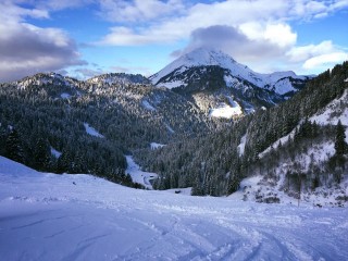 chatel dom