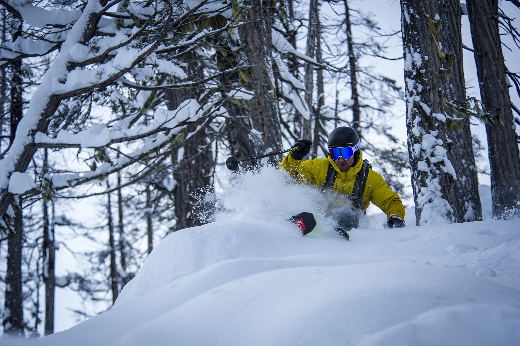 Whistler Blackcomb: Better than Ever for 2016-17