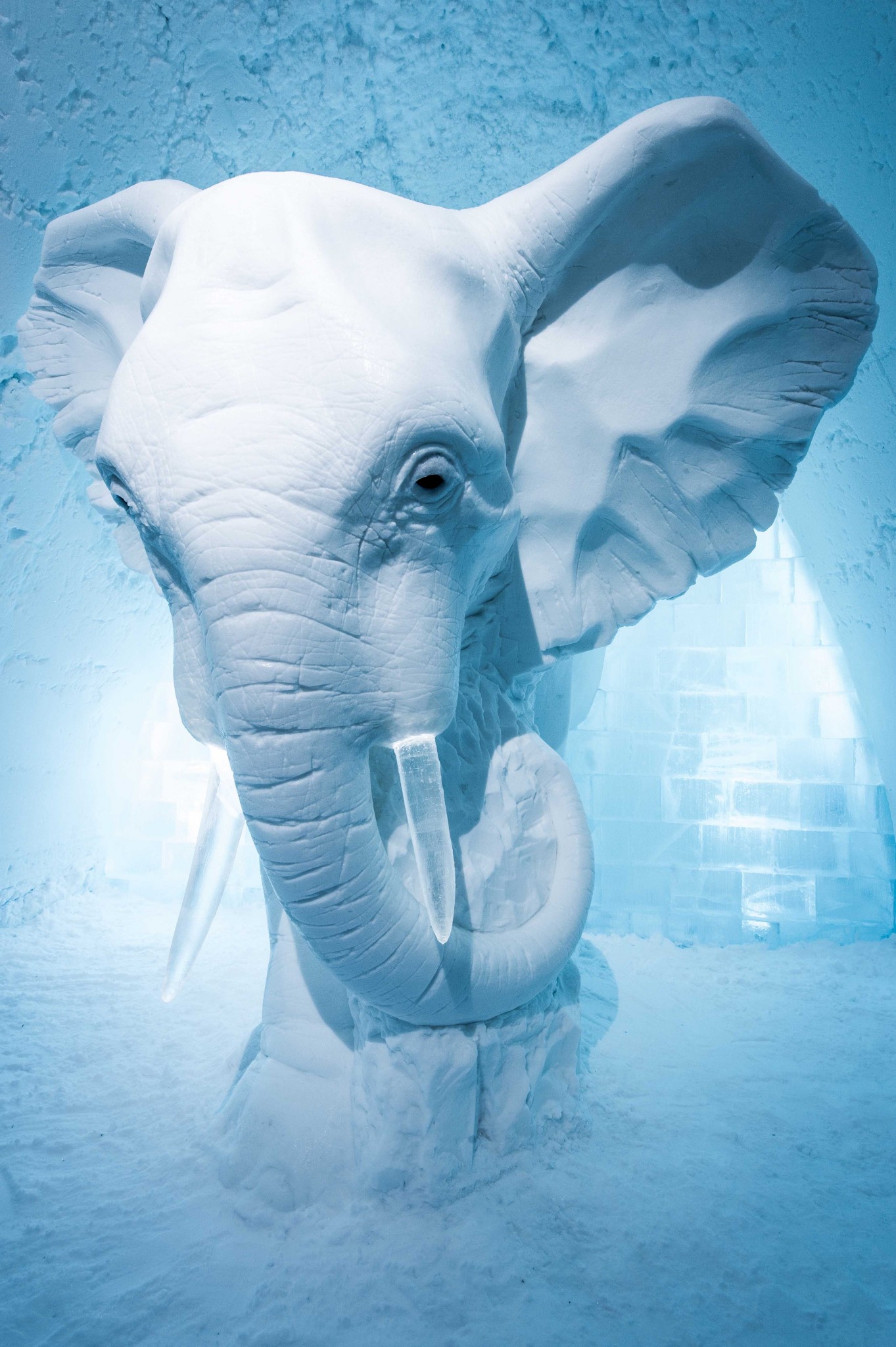 2016-17 Ice Hotels and Igloo Villages Are Opening and New Ice Hotel 365 to Be Open Year Round