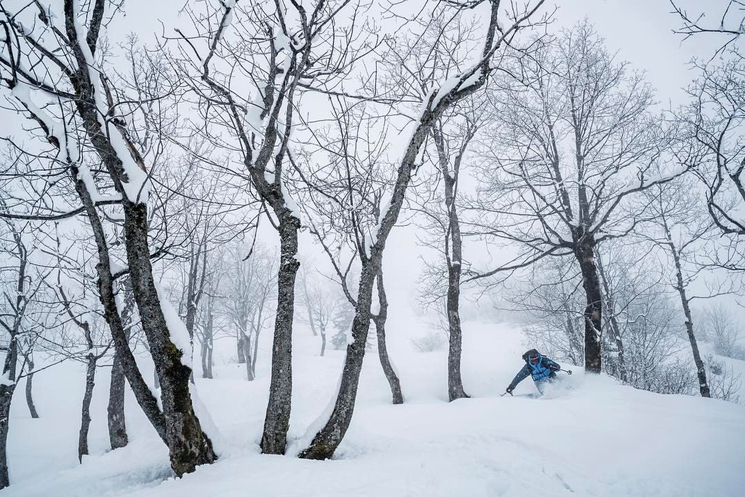 Where&#8217;s the Snow in Switzerland For the Week Ending February 18, 2017?