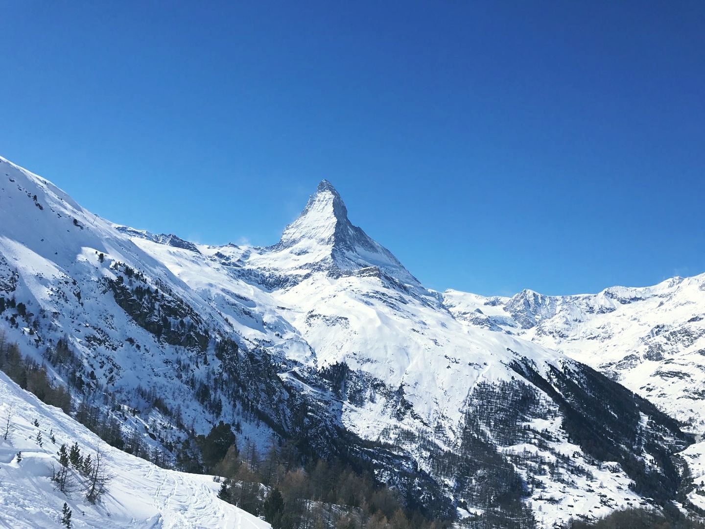 Zermatt To Use Sheep in Emergency Mountain Rescue Teams