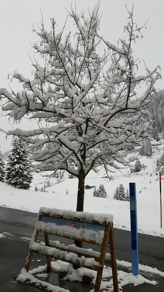 Fresh Snow For Easter Weekend in the Alps