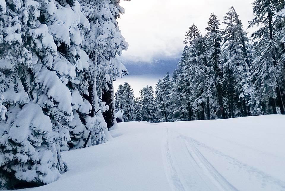 day snow trips northern california