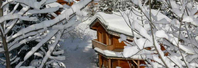 The Best Chalets In The French Alps Inthesnow