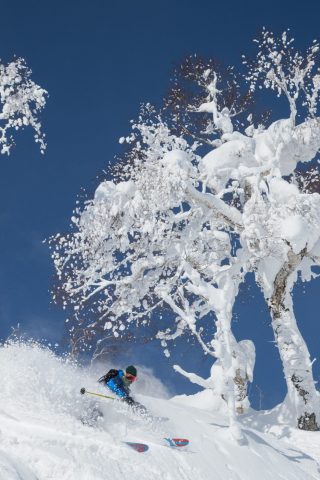 Japan’s Ski Slopes Just Got Closer