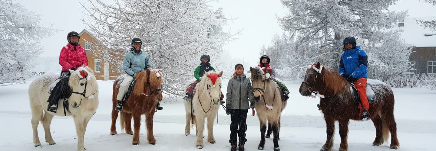 Horseriding in Ruka Finland by Luke Rees