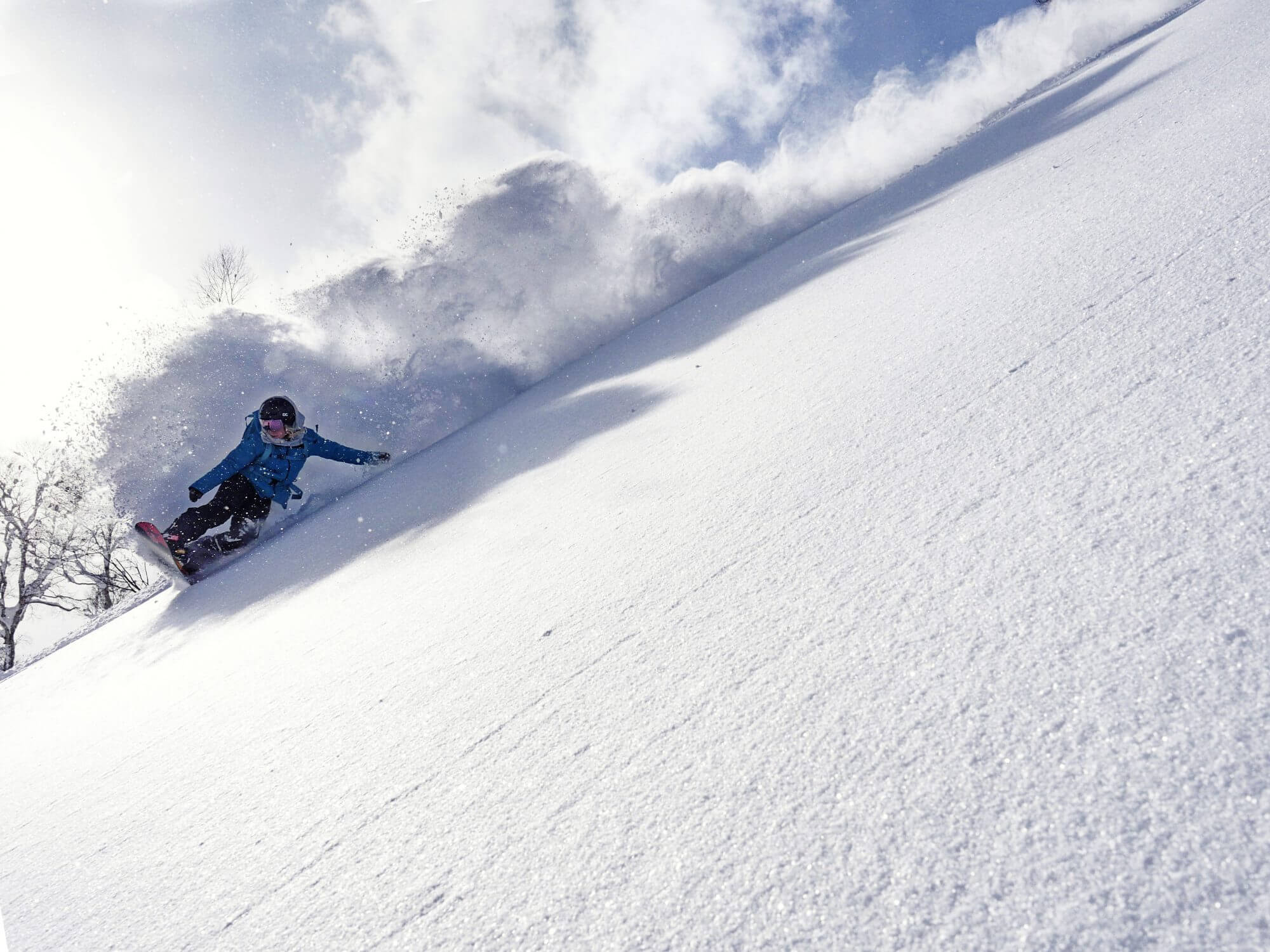 Board With Billy Morgan and Jenny Jones - InTheSnow