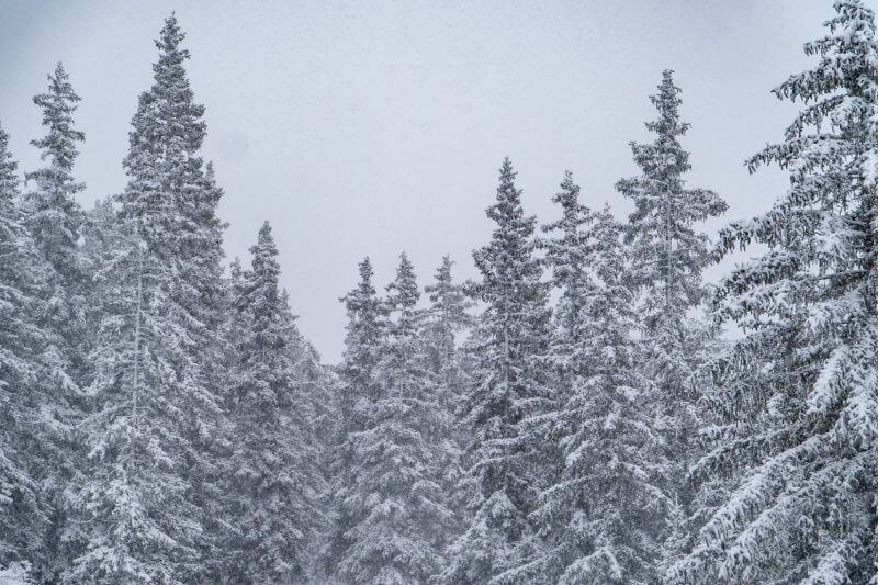 September Snowfall in the Alps (&#038; Elsewhere)