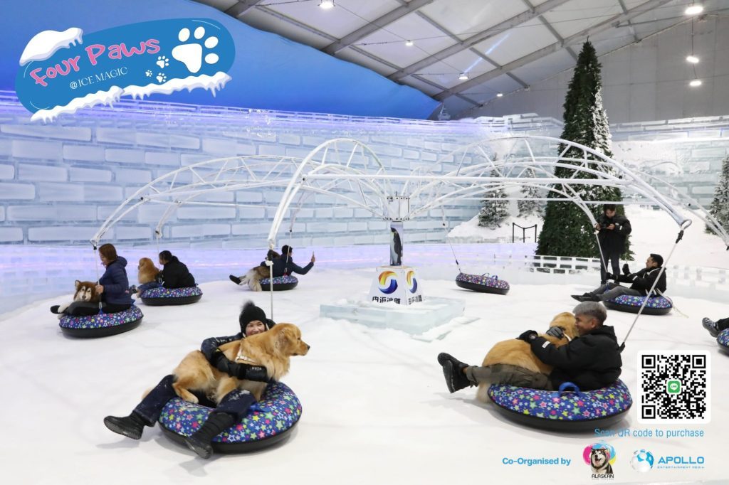 Indoor Tubing For Dogs