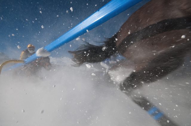 Horse Racing In The Snow