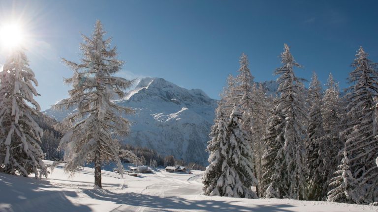 Exclusive Dream Ski Holiday Specialists in Sainte Foy