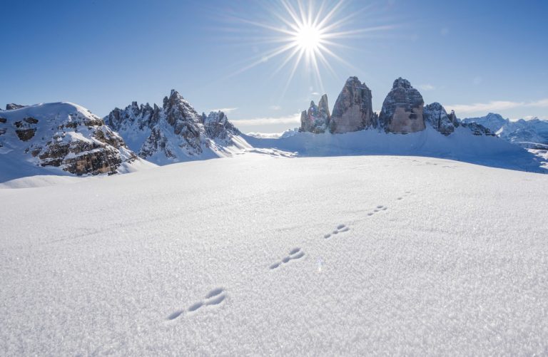 Discover 3 Zinnen Dolomites