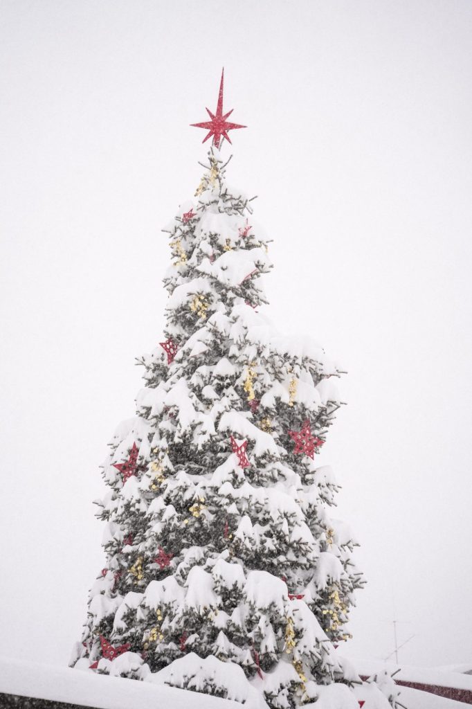 Huge Christmas Snowfall in the Alps