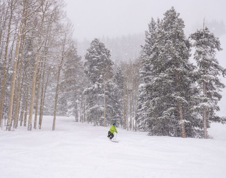 Tree Skiing